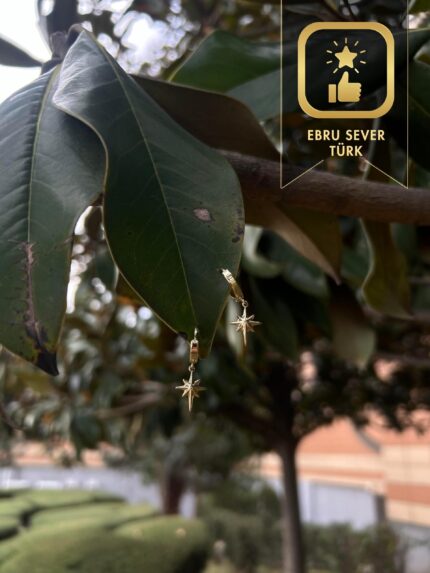 14 Ayar Altın Kutup Yıldızı Sallantılı Küpe yakın plan görünümü – 14 Ayar Altın, Sarı renk, Taşsız
