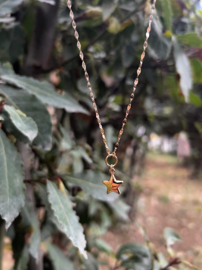 Minimalist Parlak Altın Yıldız Kolye 1 Minimalist Parlak Altın Yıldız Kolye, 14 Ayar Altın, Sarı renk, 1.72 gr
