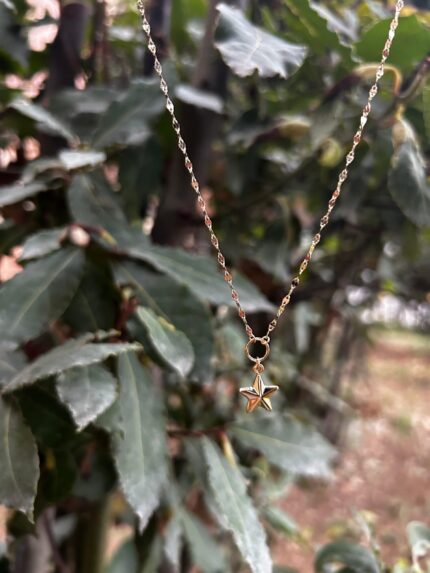 Aynalı Kelebek Zincirli Yıldız Kolye – 14 Ayar Altın, Sarı renk, 1.69 gr