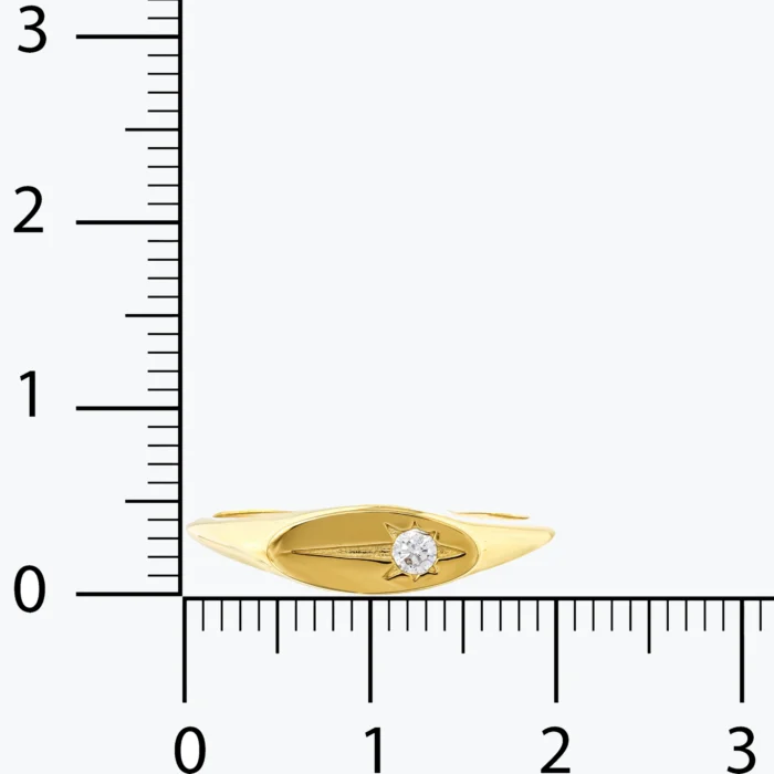 Kutup Yıldızı Motifli Oval Yüzük, 14 Ayar Altın, Sarı renk, 1.98 g, yakın plan görünümü